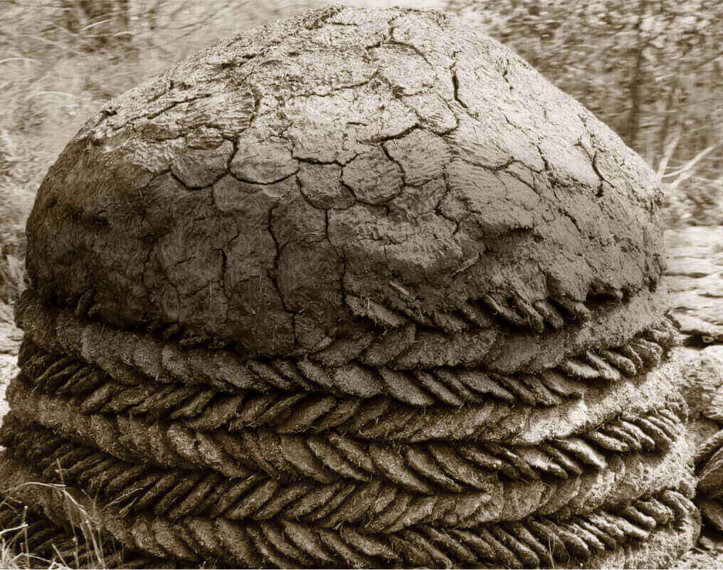 We are like no other.