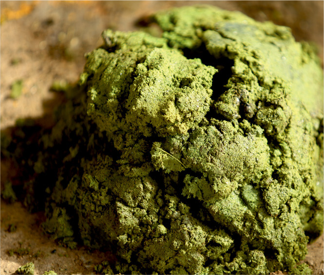 Klimom- Indian Holy cow dung cakes - Desi Cow Products