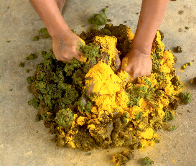 Klimom- Indian Holy Gir Cows- Desi Cow Products