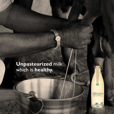 Why is raw milk without pasteurization ideal for your family